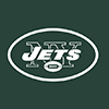NFL Jets Continental Clutch