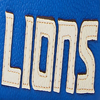 NFL Lions Double Zip Wristlet