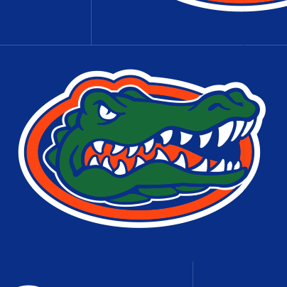 Collegiate University of Florida Small Backpack