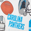 NFL Panthers Lexi Crossbody Sm Coin Case